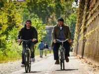 ������� �����������