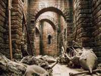 �������: �������� �� �����������