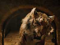 ������������ ����������� ������� ��������