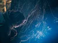 ��� ���������