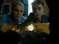 ����������