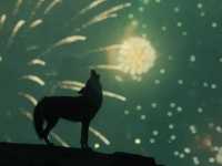 ������������������. �����