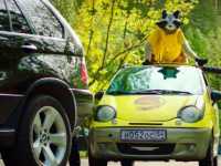 ���� �� �������