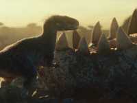 ��� ������� �������: ����������