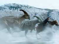 ��� ������� �������: ����������