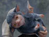 ����� ������ �������