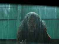 ��������: 13-� ����