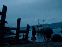 �� ������