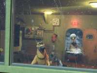 ����� � �������: ��������� �����