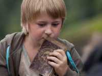 ������� ����