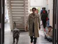 ��� ������ �����