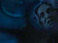 ������: ������������