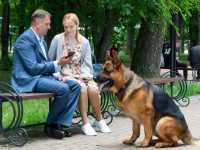 ������� ���� ����������