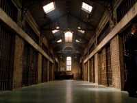 ������� ����