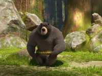 ������� �����������. ����������� ��������