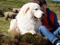 ����� � ���������: ����� ���������