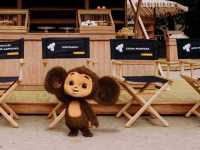 ���������. ������� ����������� ����