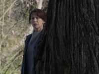 ���� �� ���������