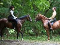 ������ - ��� ���������