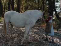 Italian Best Shorts 5: ����� ��� ����