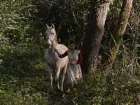 Italian Best Shorts 5: ����� ��� ����