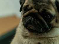 ��� �� ����