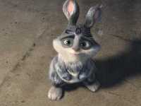 ��������� ����