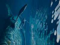 ������: ���� ����