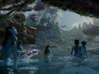 ������: ���� ����