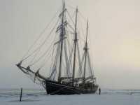 �������� ����