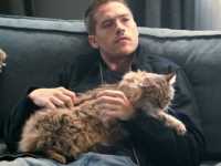 �� ���������� ���������