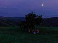 ������ �����