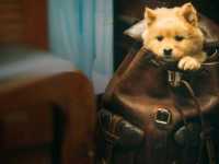 ��� ������