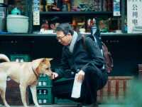 ��� ������