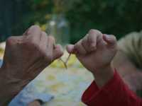 ���� �� �����