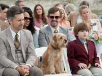 �����������: � ����� ������������