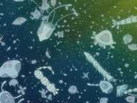 ����� ����� �� �����