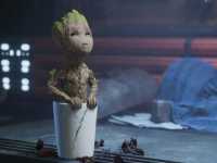 � ���� ����