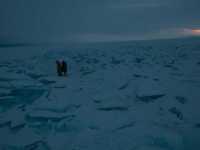 ��� �������