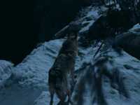 ��� �������