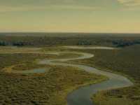 ���� ��������� ����