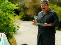 ���������. ��������