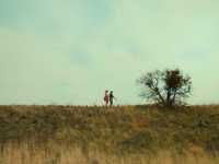 ��� ������ ������