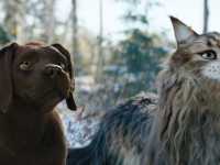 ��� � ��