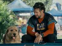 �����, �� ������