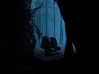 ��������� ����