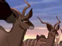 ������ ���