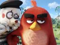 Angry Birds � ����