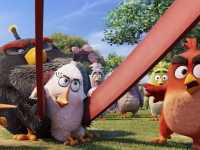 Angry Birds � ����