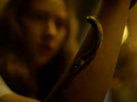 ������ ������